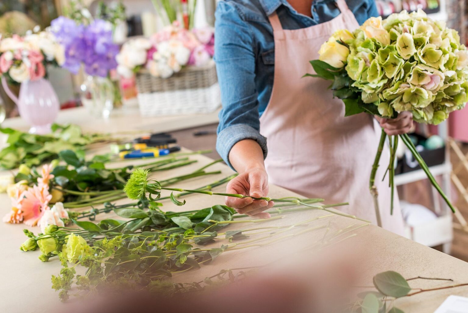 Blumen und Pflanzen in Bad Kreuznach